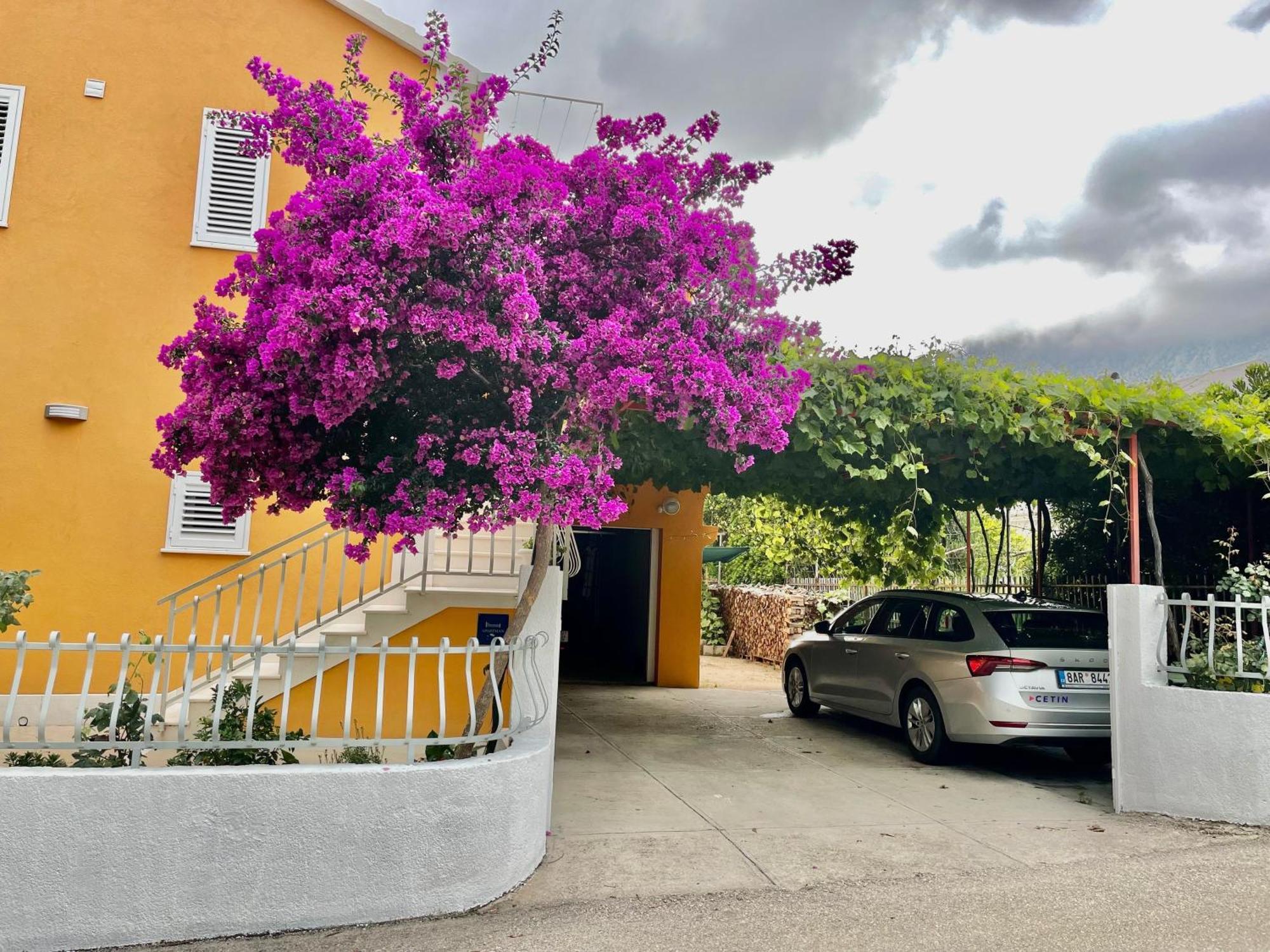 Apartments With A Parking Space Orebic, Peljesac - 4527 外观 照片